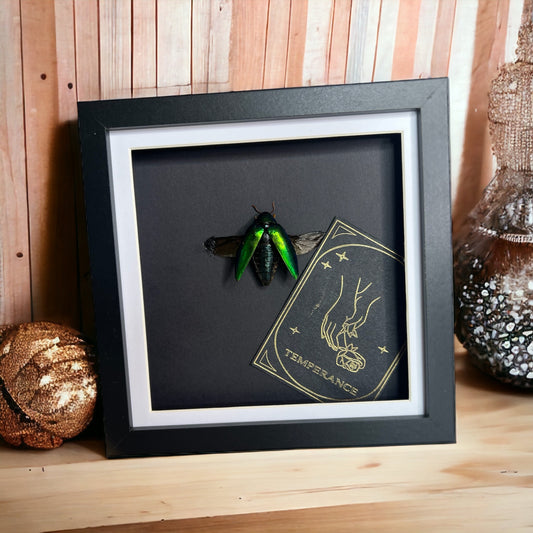 Metallic Green Jewel Tarot