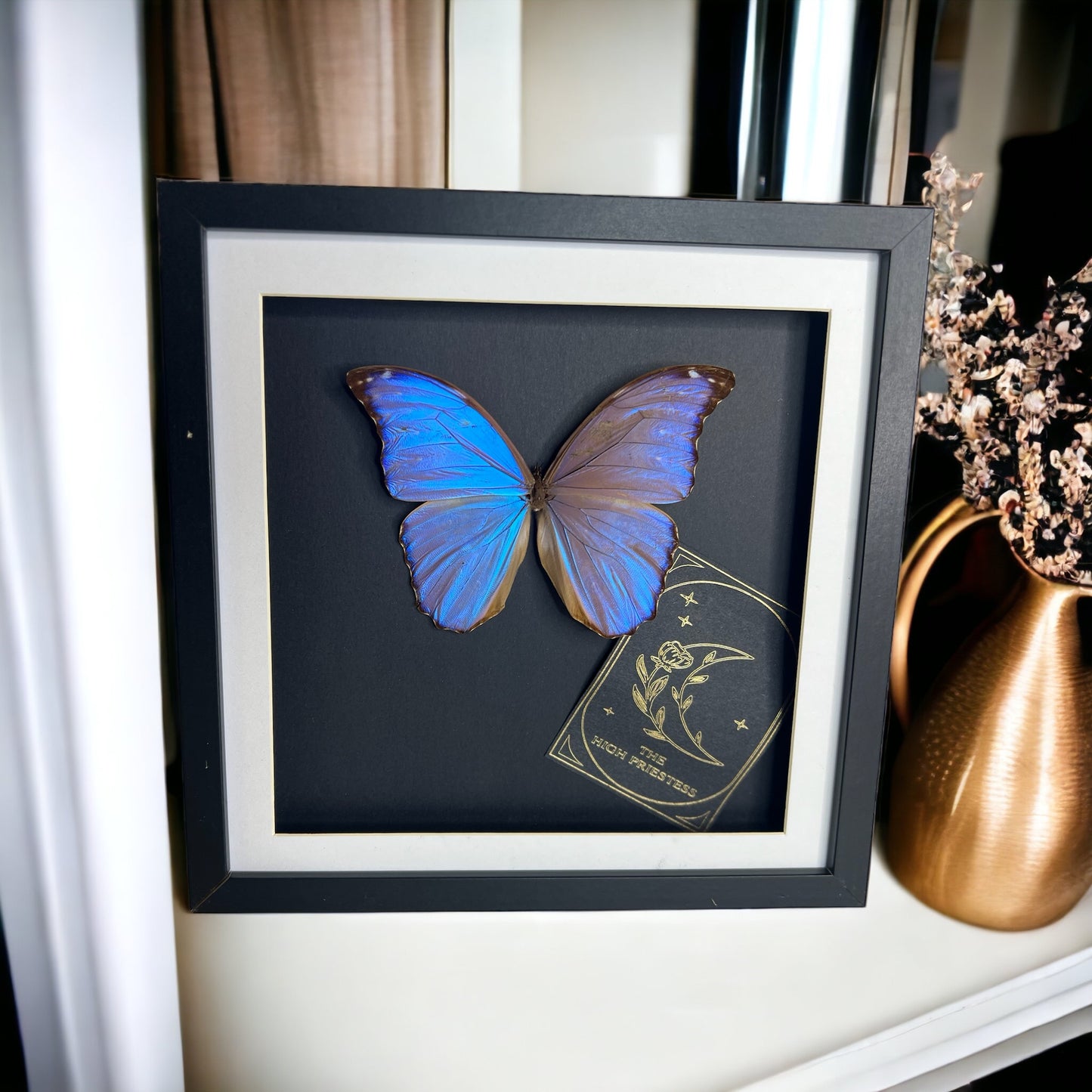 Giant Blue Morpho Tarot