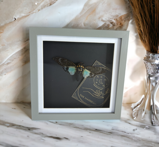Blue Cicada Tarot